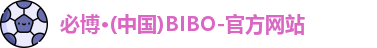 bibo必博